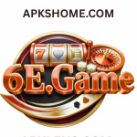 6E Game