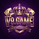V9 Game